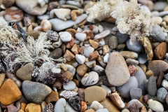 wet-stones-beach